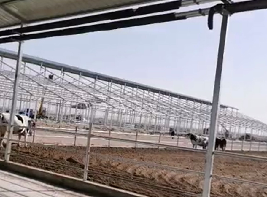 牛棚配用拖鏈 牛棚配用拖鏈